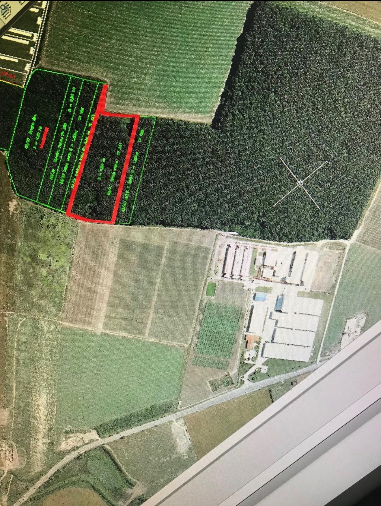 🌳 Pădurea Strava – 25.000 mp | arbori de peste 100 ani | Afumați – Șindrilița | lângă Pioneer